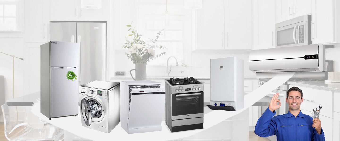 Hocalar Electrolux Servisi